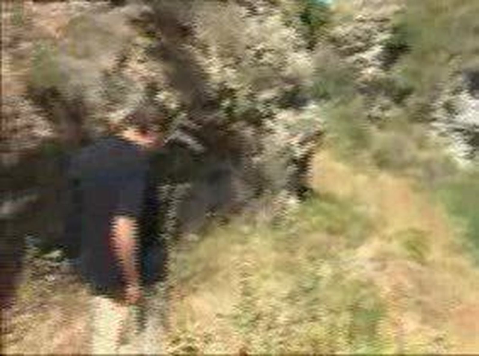 viillaconejos_2010731V0.wmv
