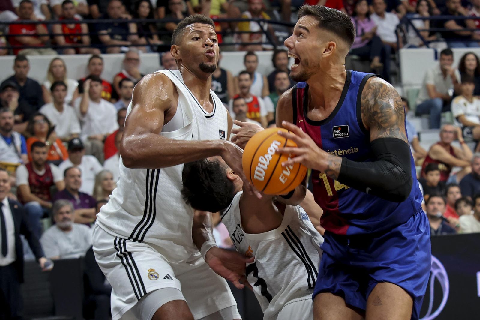 Tavares ante Willy Hernangomez
