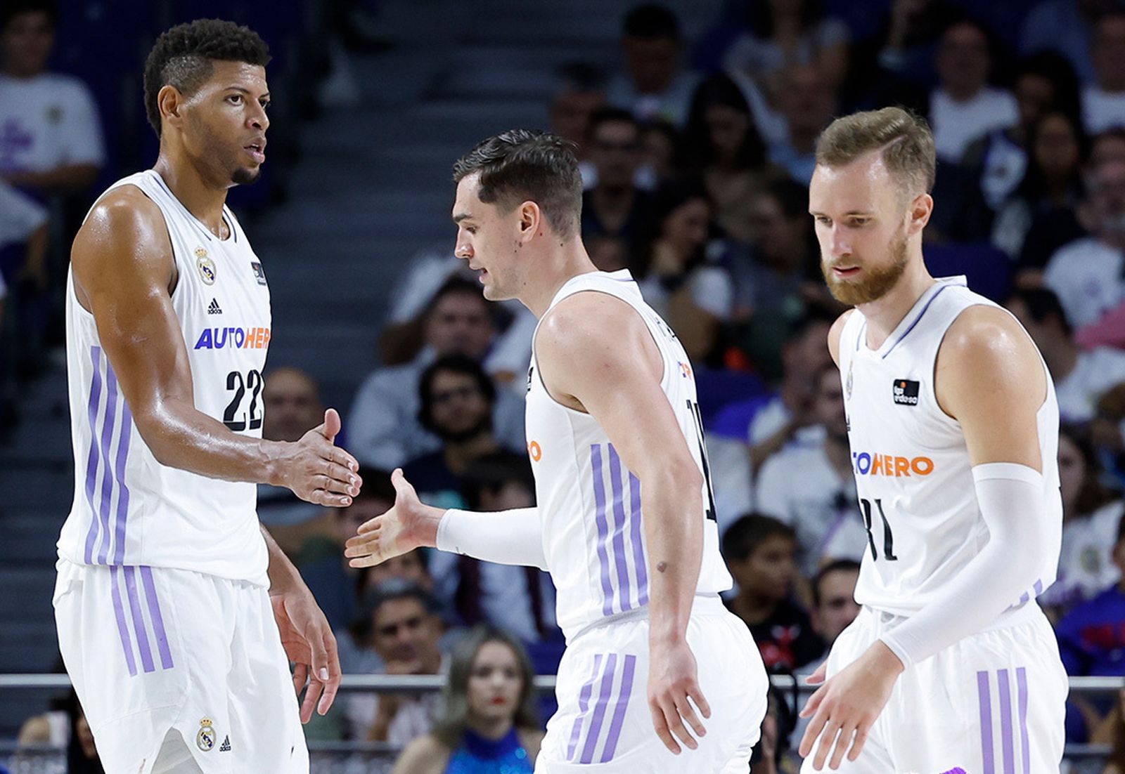 Tavares, Hezonja y Musa