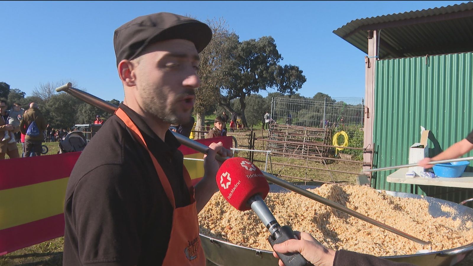 Ovejas llegan a la finca La Milagrosa de Boadilla