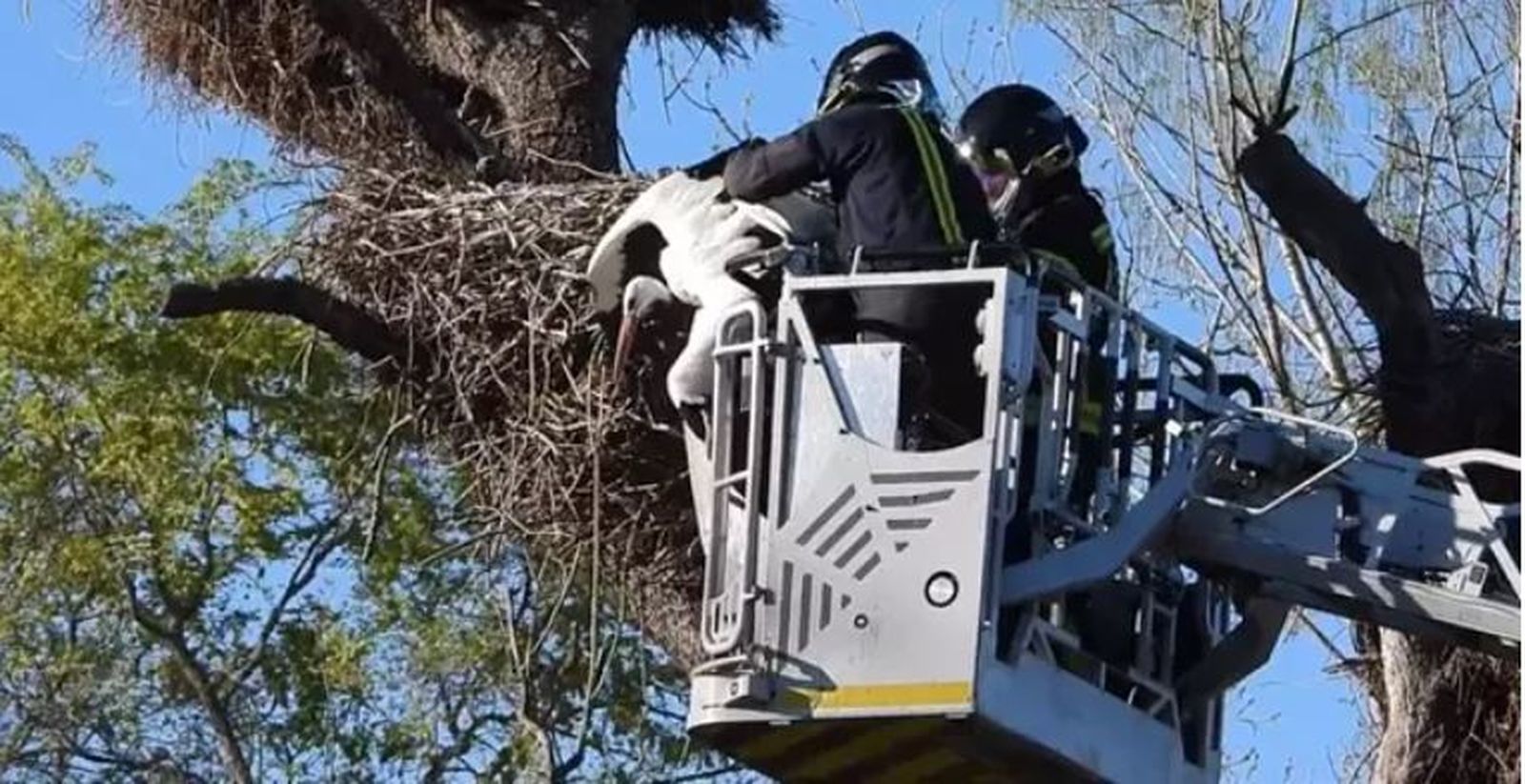 Los bomberos rescatan a una cigüeña