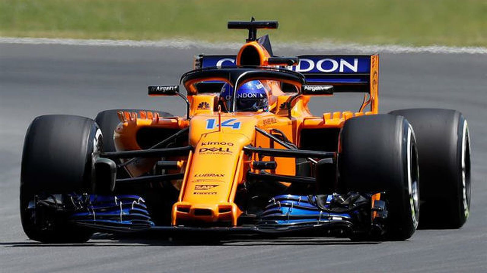 Fernando Alonso