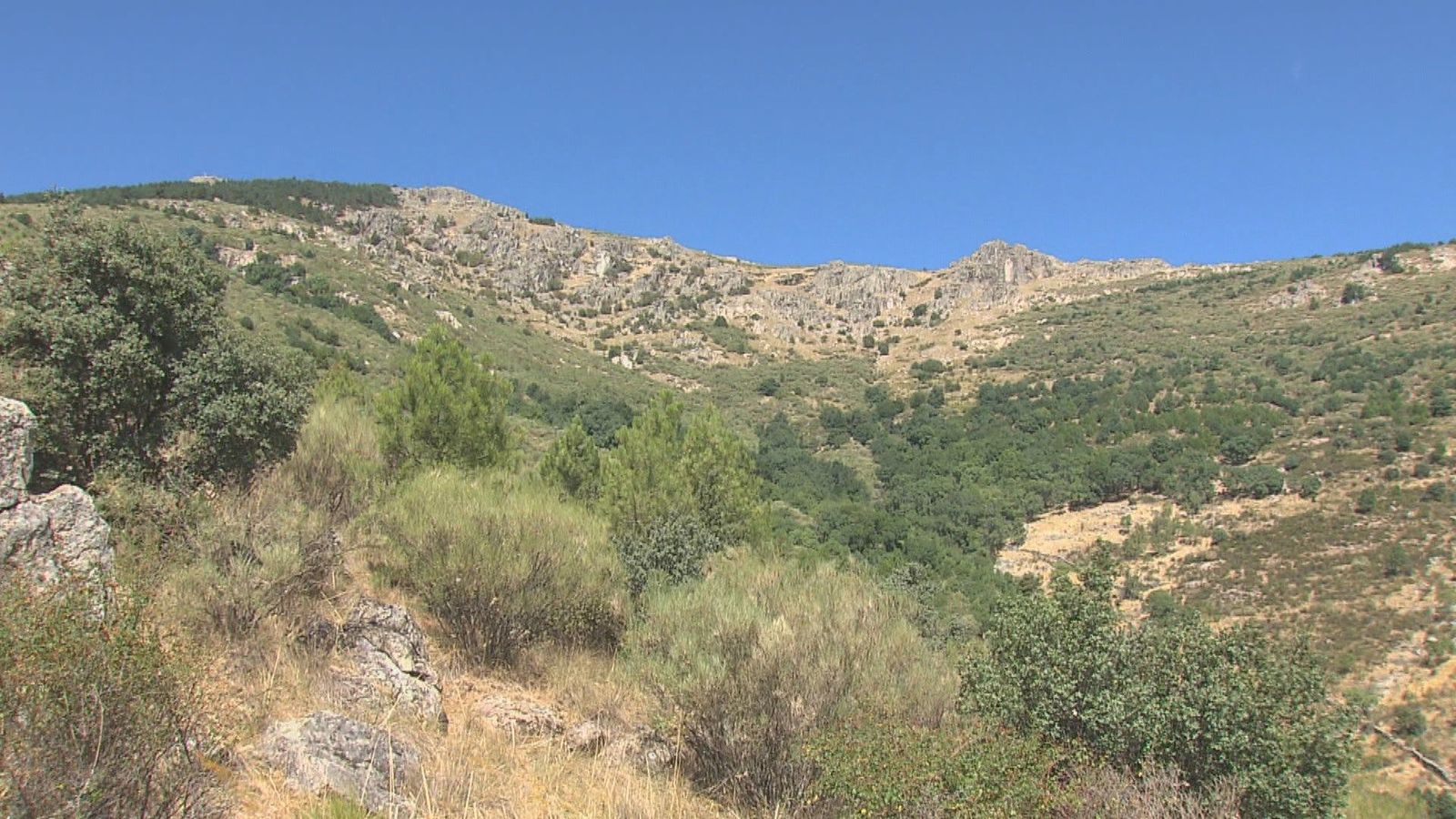 El lento renacer del Monte Abantos 26 años después de la tragedia