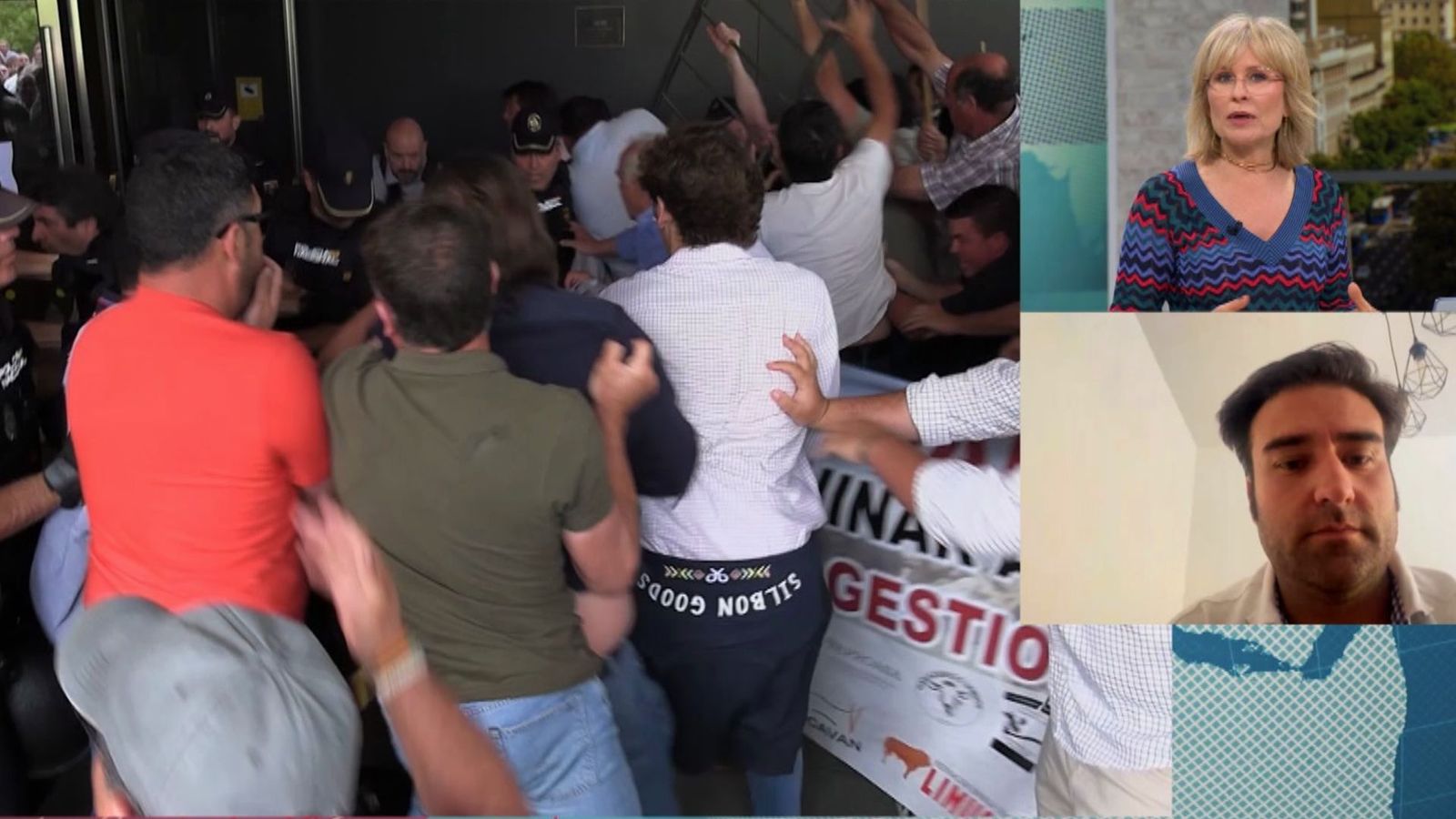 Unión por la Ganadería, tras la violenta protesta en Salamanca: “Matamos al 97% de animales sanos”