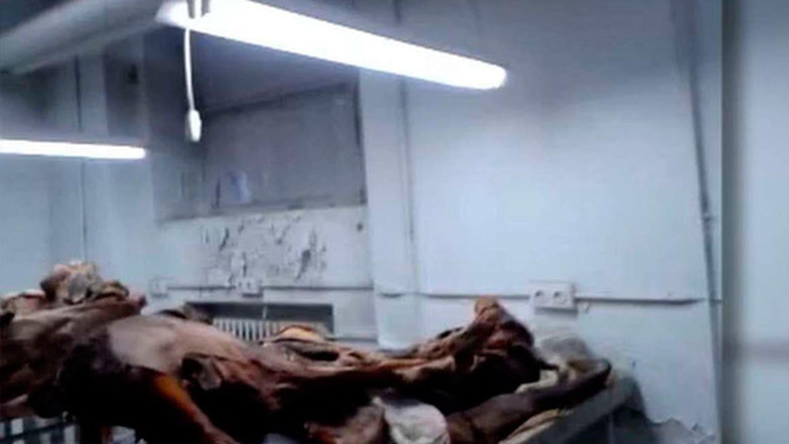 Imágenes de la morgue de la Facultad Complutense
