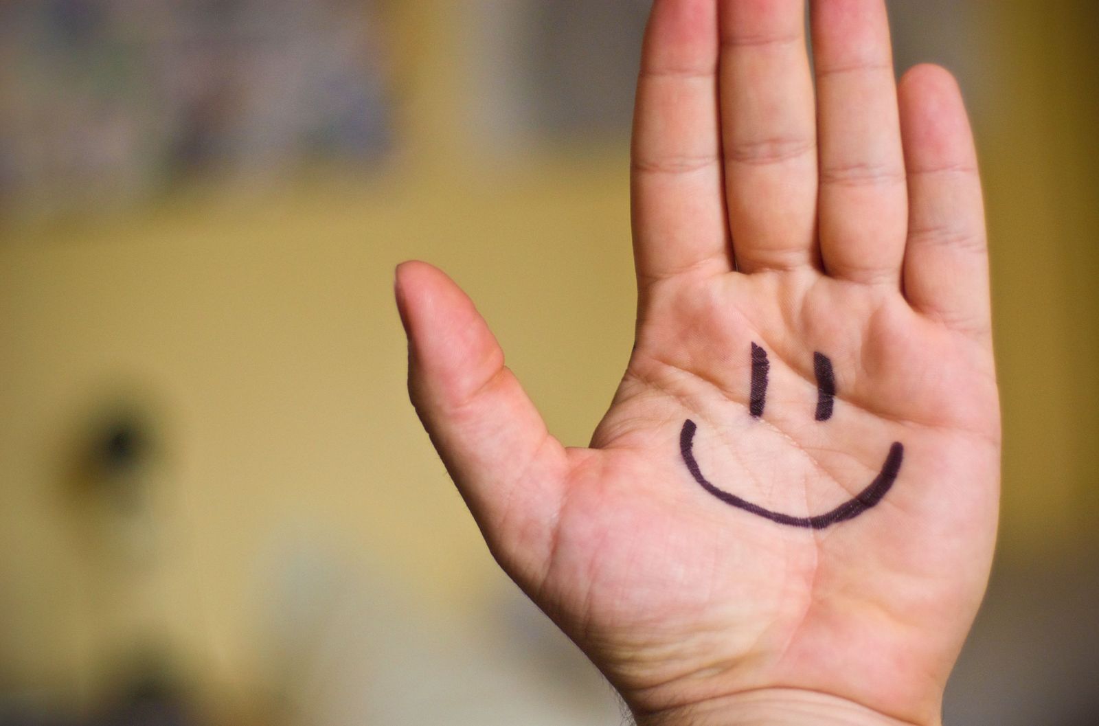 El negocio de la felicidad