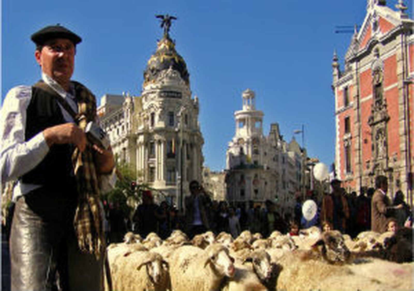 Trashumancia en Madrid