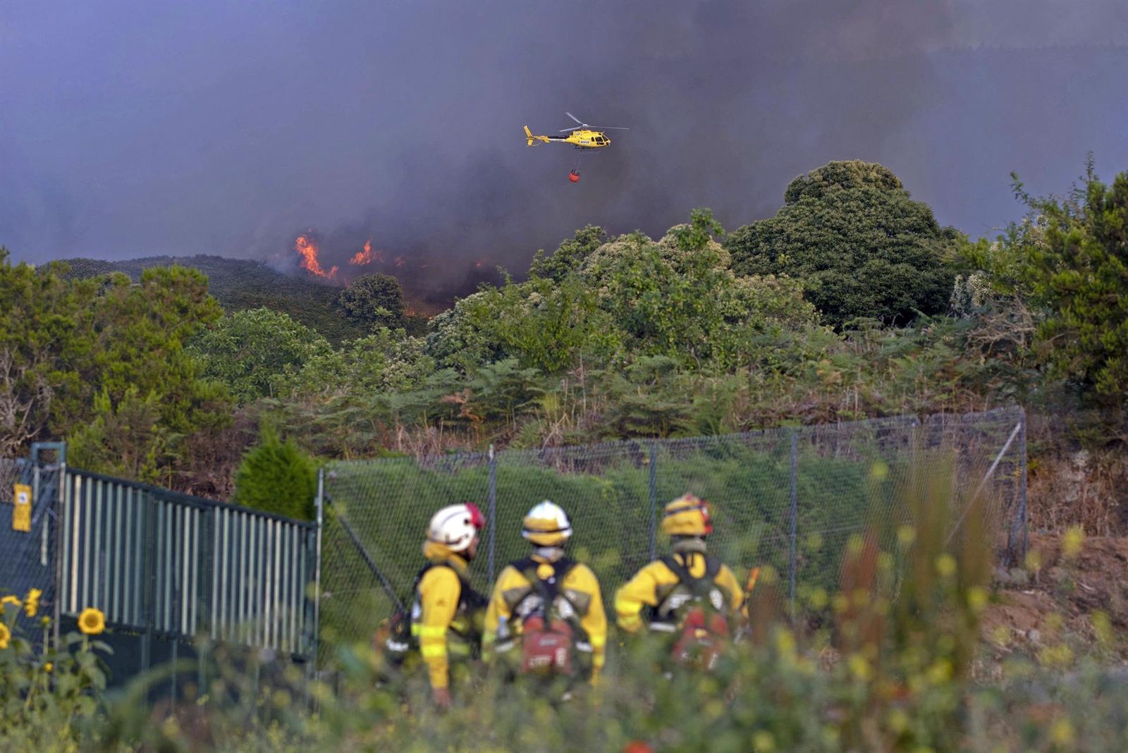 Incendio en los municipios tinerfeños de Los Realejos y San Juan de la Rambla