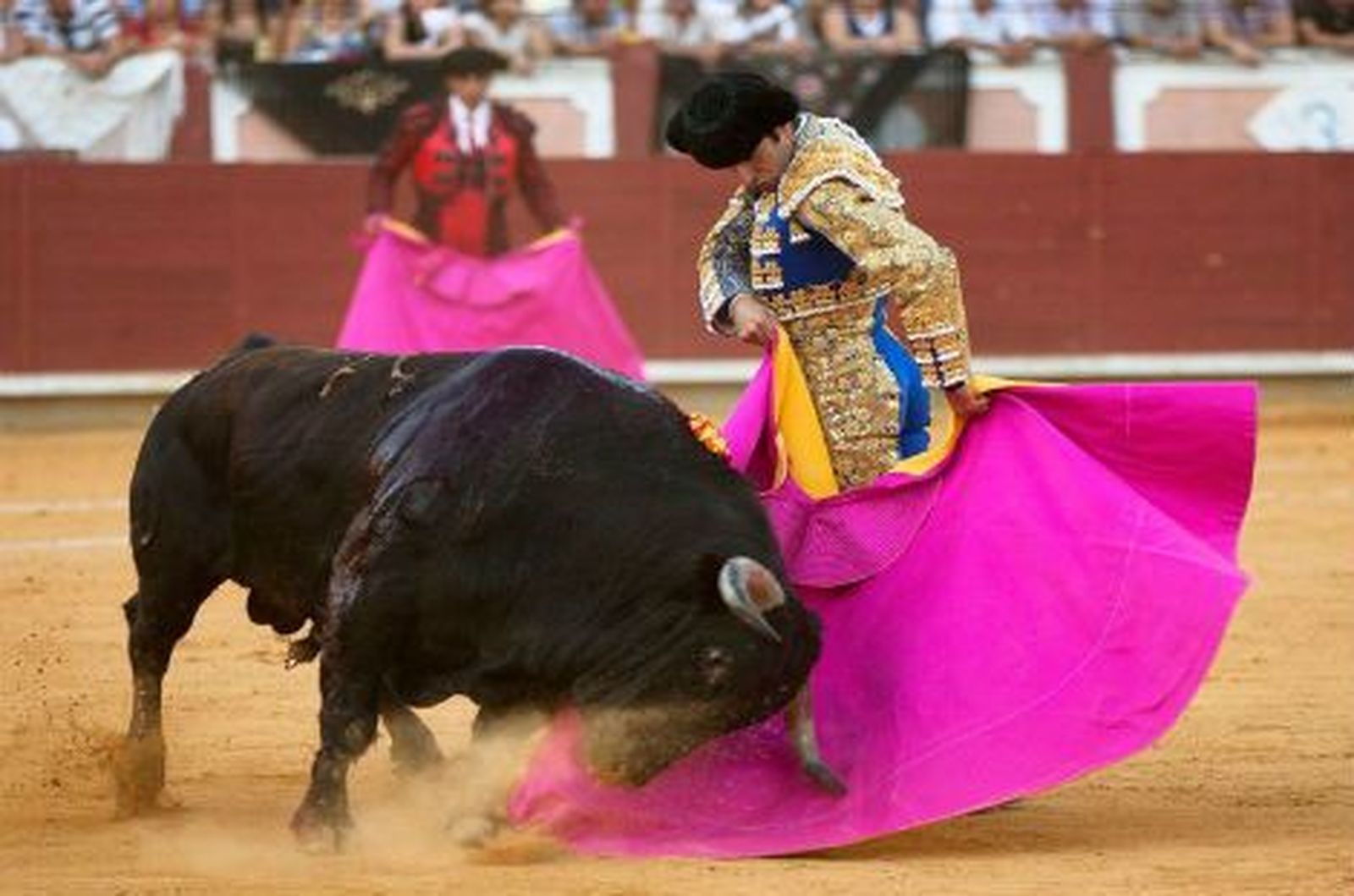 Talavante con seis "victorinos", plato fuerte de un San Isidro ya oficial