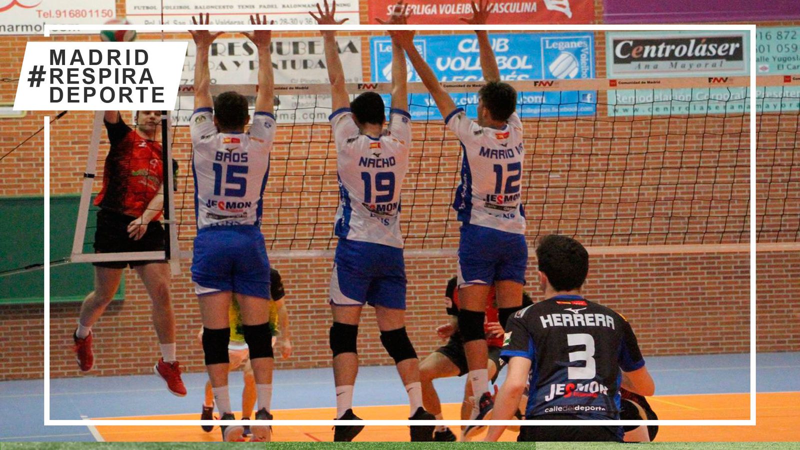 Voleibol Leganés