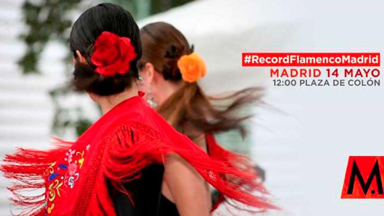 Récord Flamenco en Colón