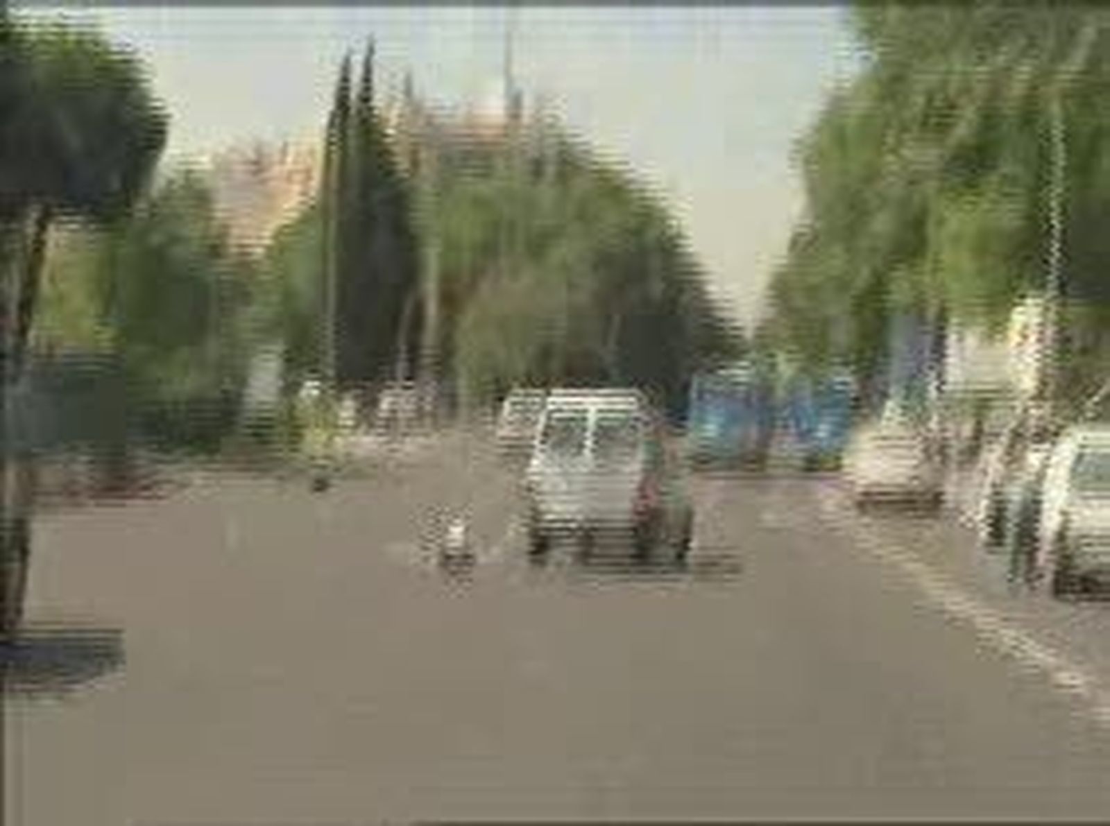atropellados_2010105V0.wmv