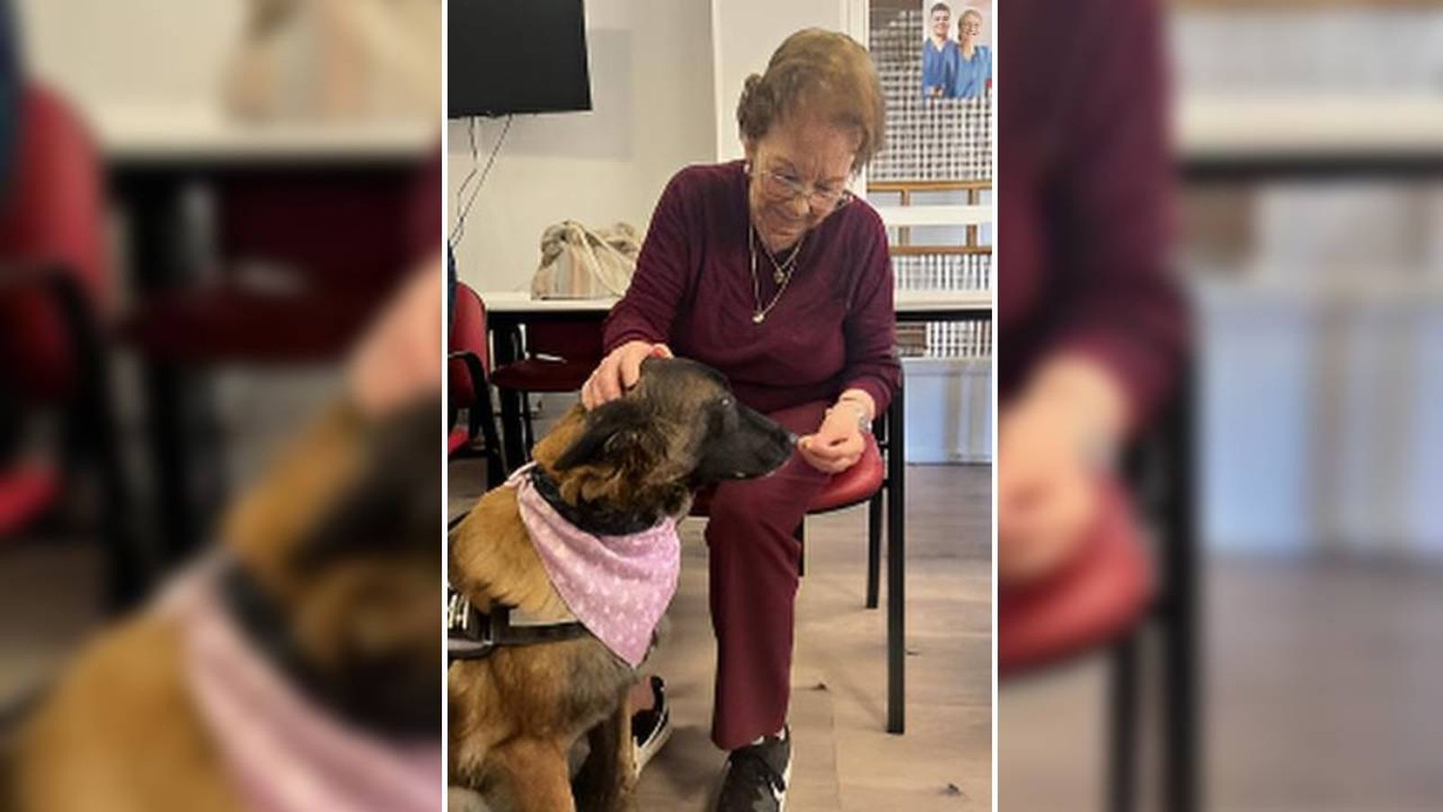 La perra Karma en una residencia de mayores de Galapagar