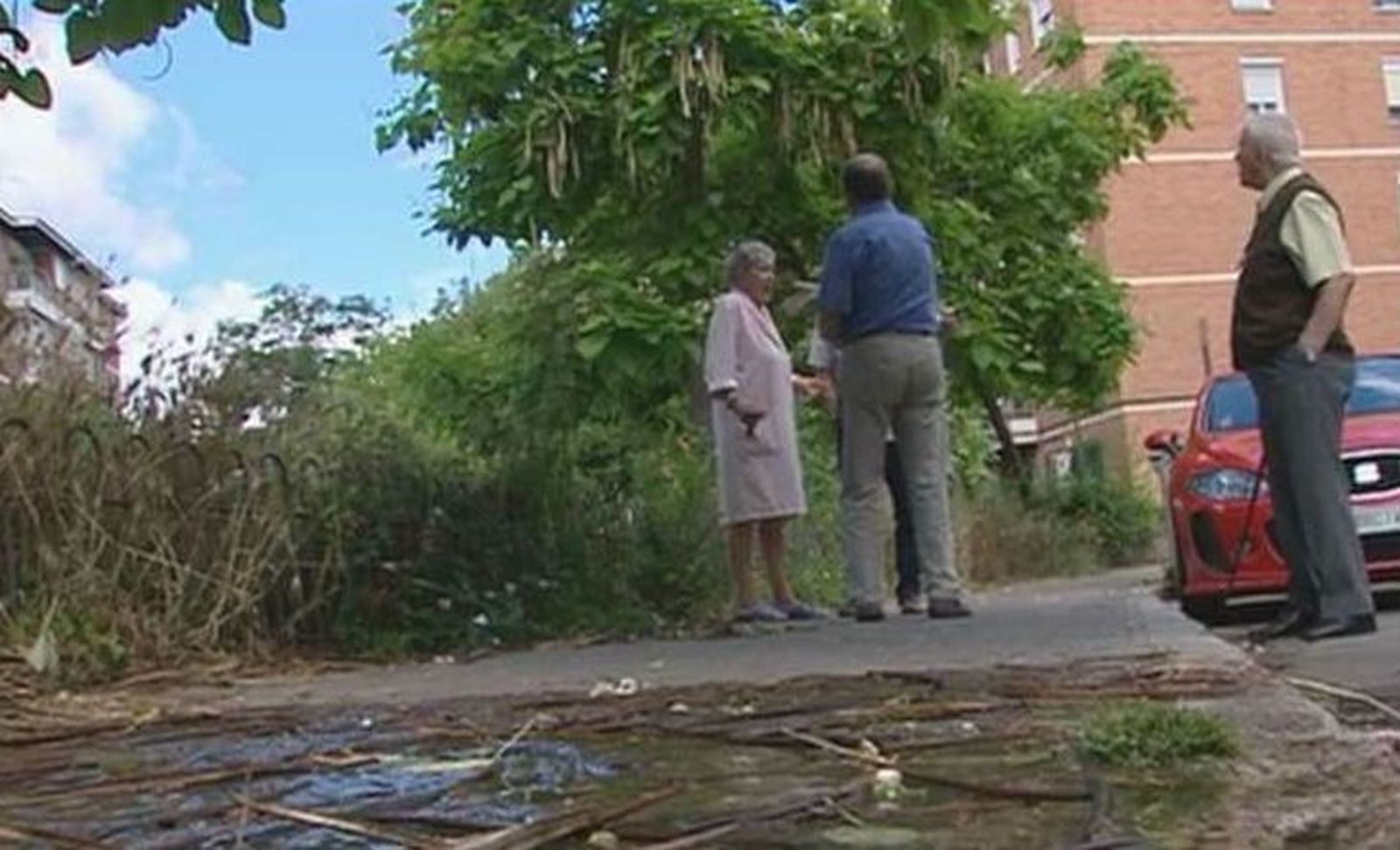 Vecinos de Aluce denuncian la suciedad de calles y mal estado de los jardines