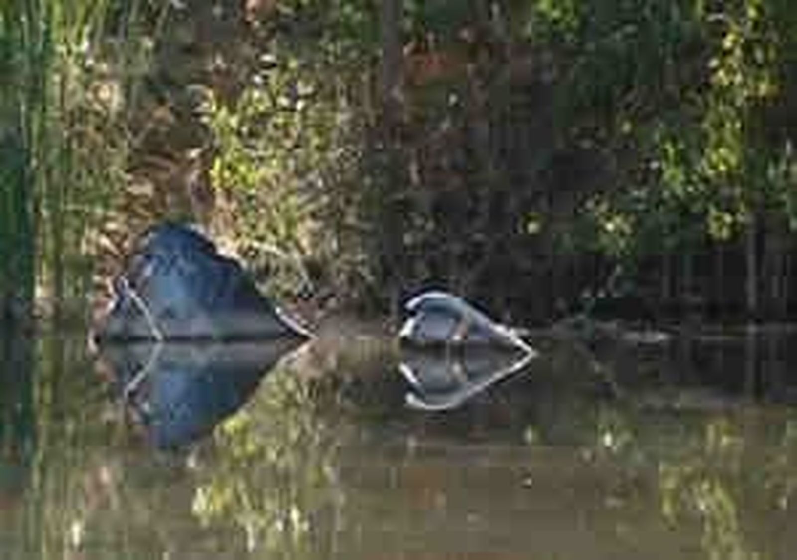 arganda_201178V0.wmv