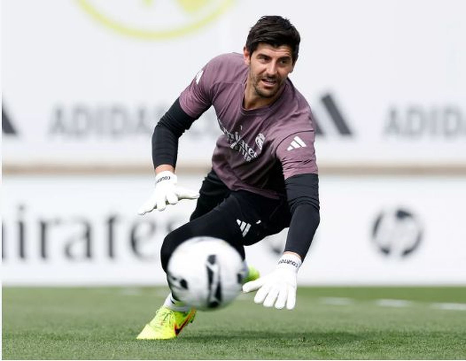 Courtois