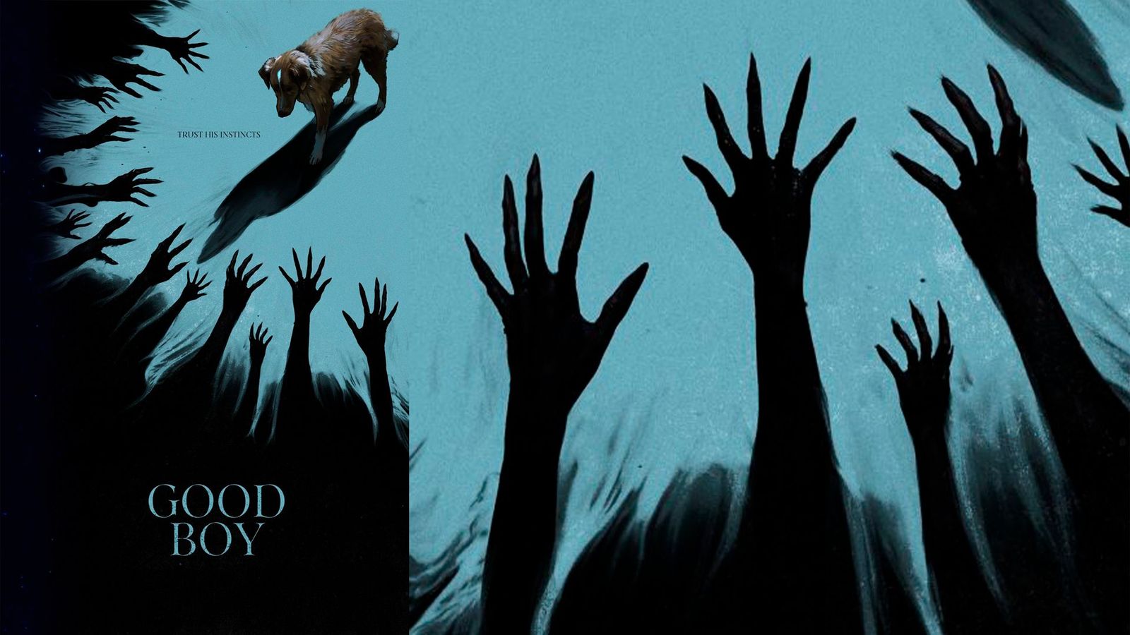 'Good boy', mucho más que una película de terror protagonizada por un perro