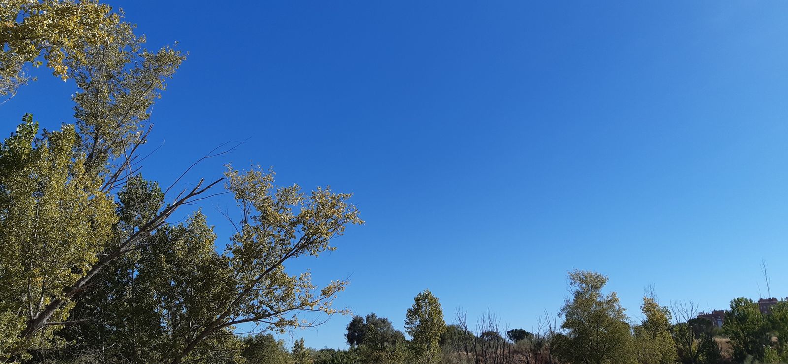 Cielos completamente despejados sobre el monte de El Pardo