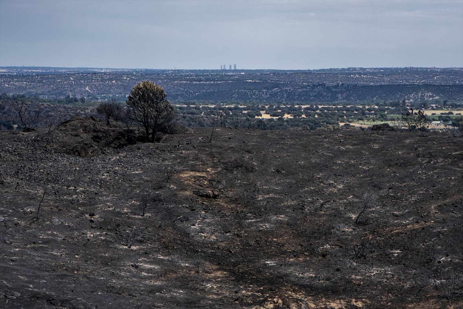 Tierra calcinada tras el paso de las llamas