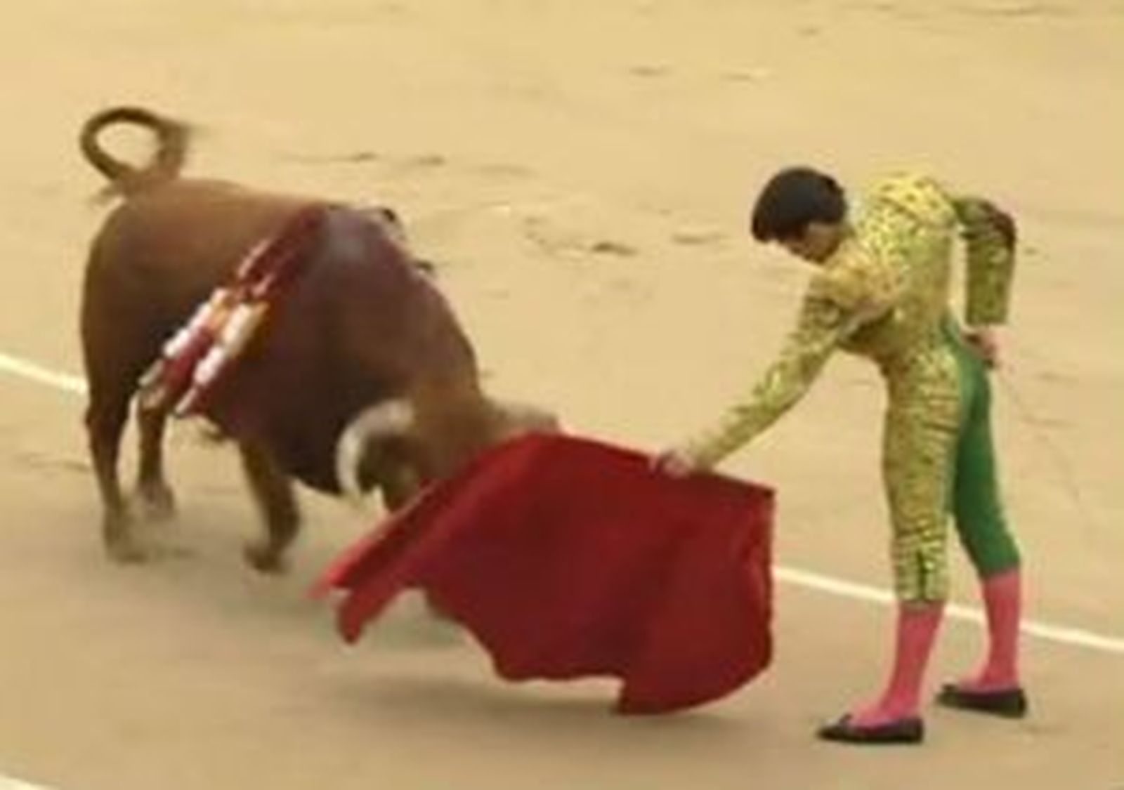 Telemadrid en el Día de la Comunidad se vuelca con los actos institucionales y los toros
