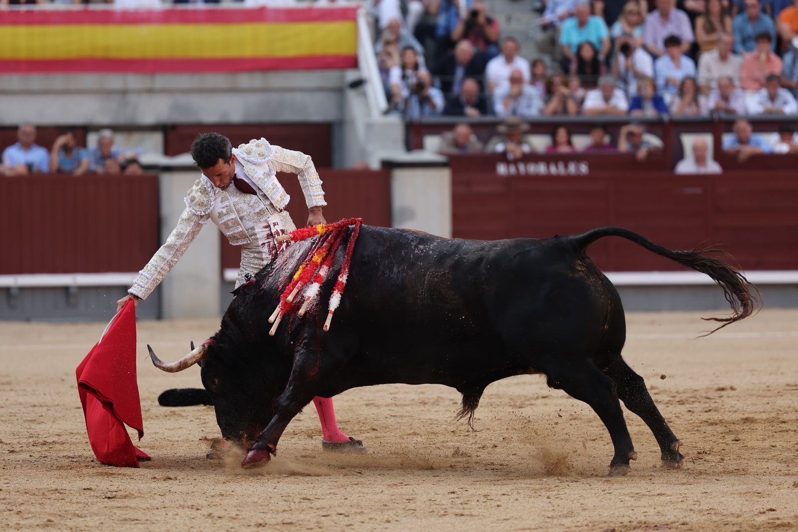 David de Miranda con su primer toro de la tarde