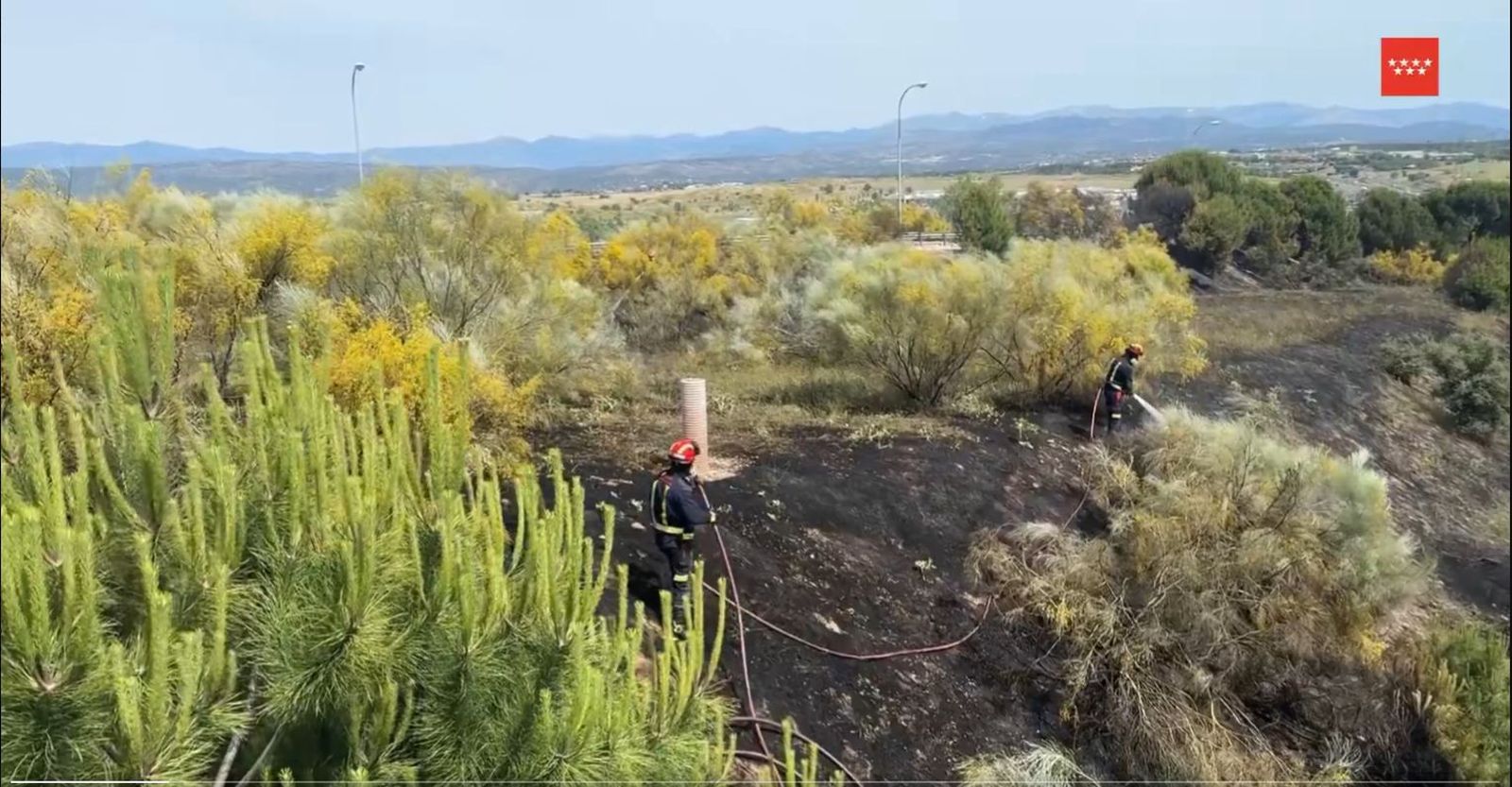 Los bomberos extinguen un incendio de vegetación