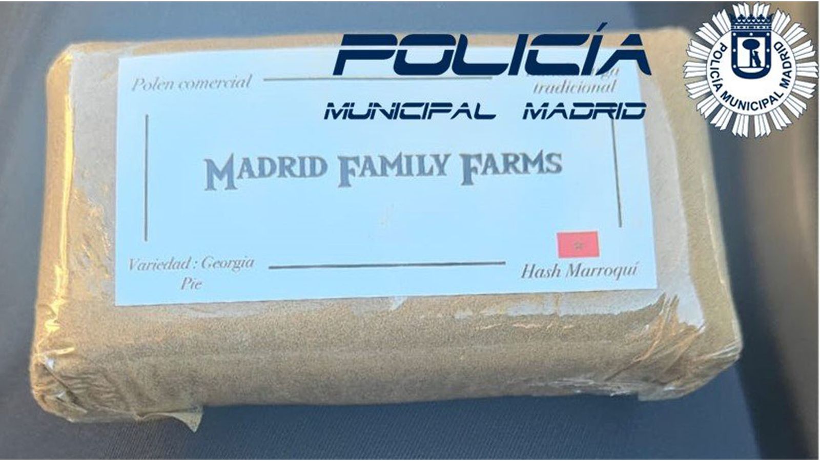 Placa de hachís