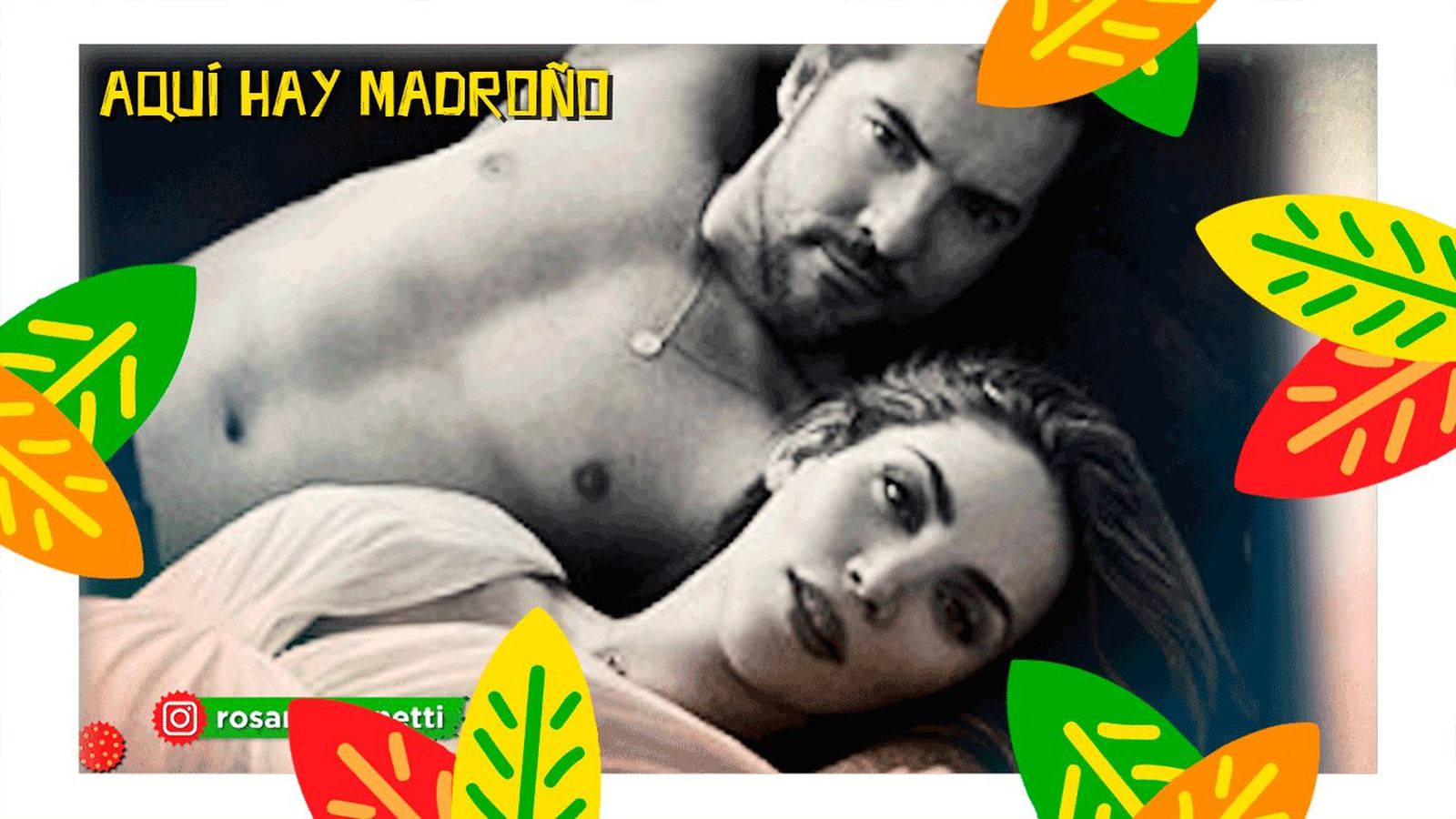 Rosanna Zanetti y David Bisbal ya están preparados para ser padres