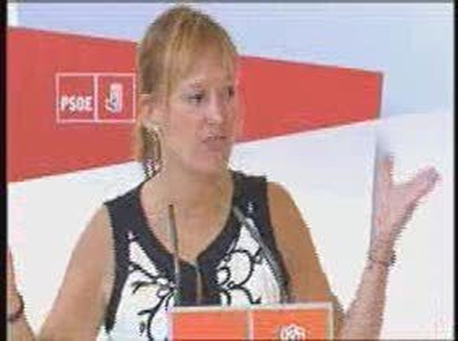 Leire_2010918V0.wmv