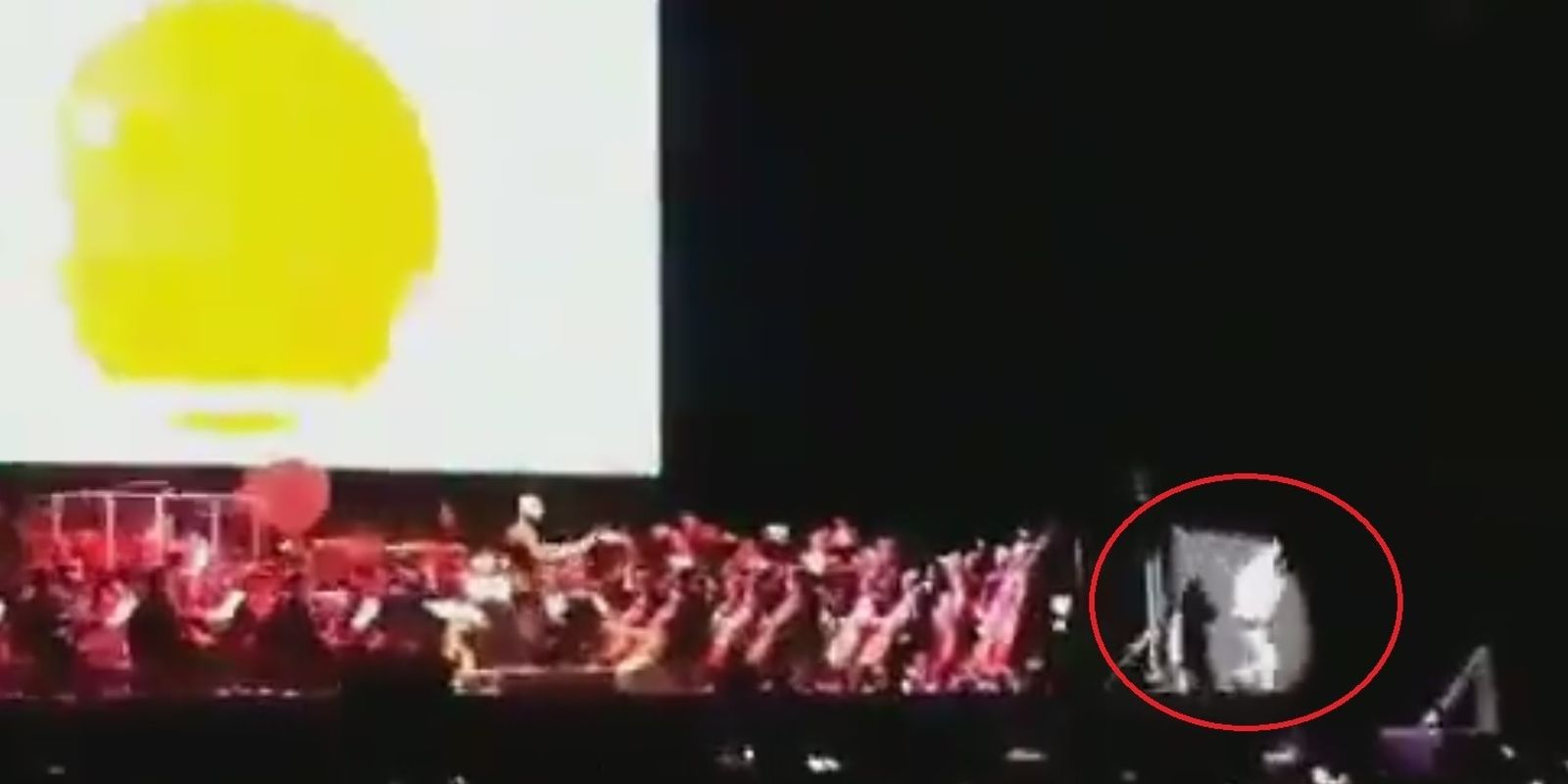 El cantante de Dragon Ball, en el momento previo a su caída en el Wizink Center