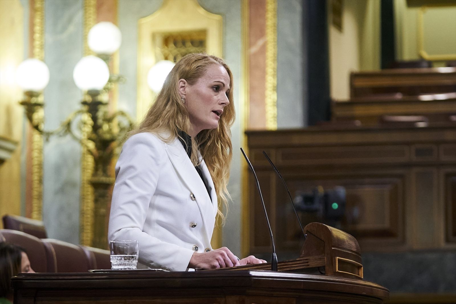 La diputada socialista del Congreso, Zaida Cantera, durante una sesión plenaria