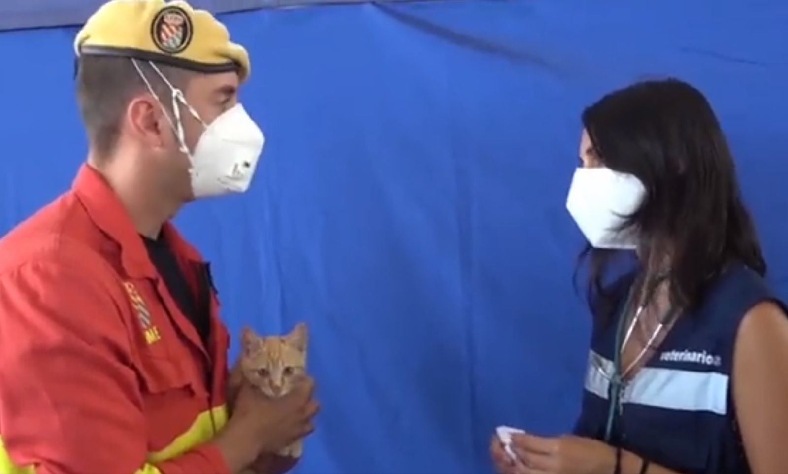 El cabo de la UME, su gato y la veterinario que atendió al felino posteriormente