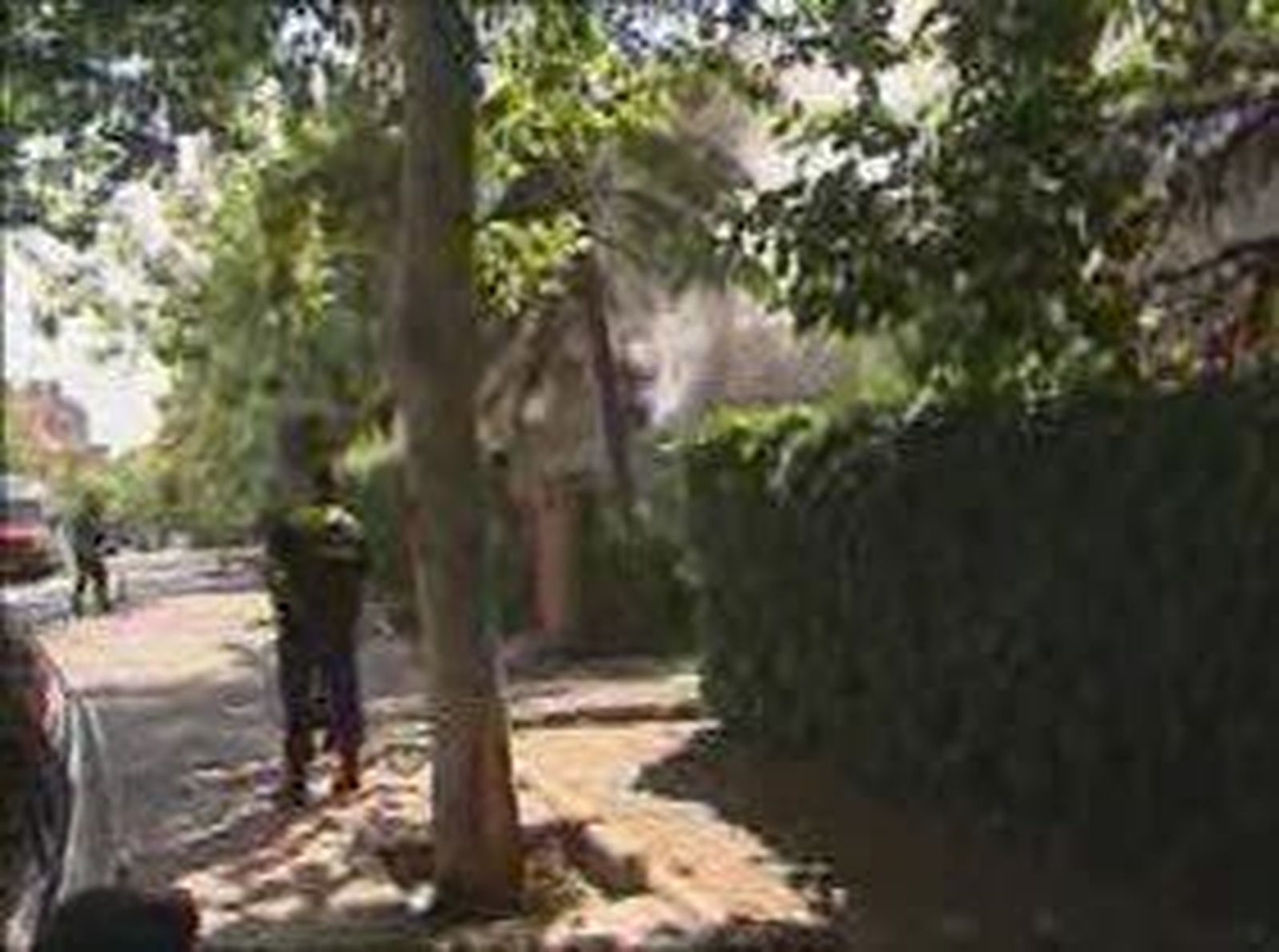 colegiomayor_2010820V0.wmv