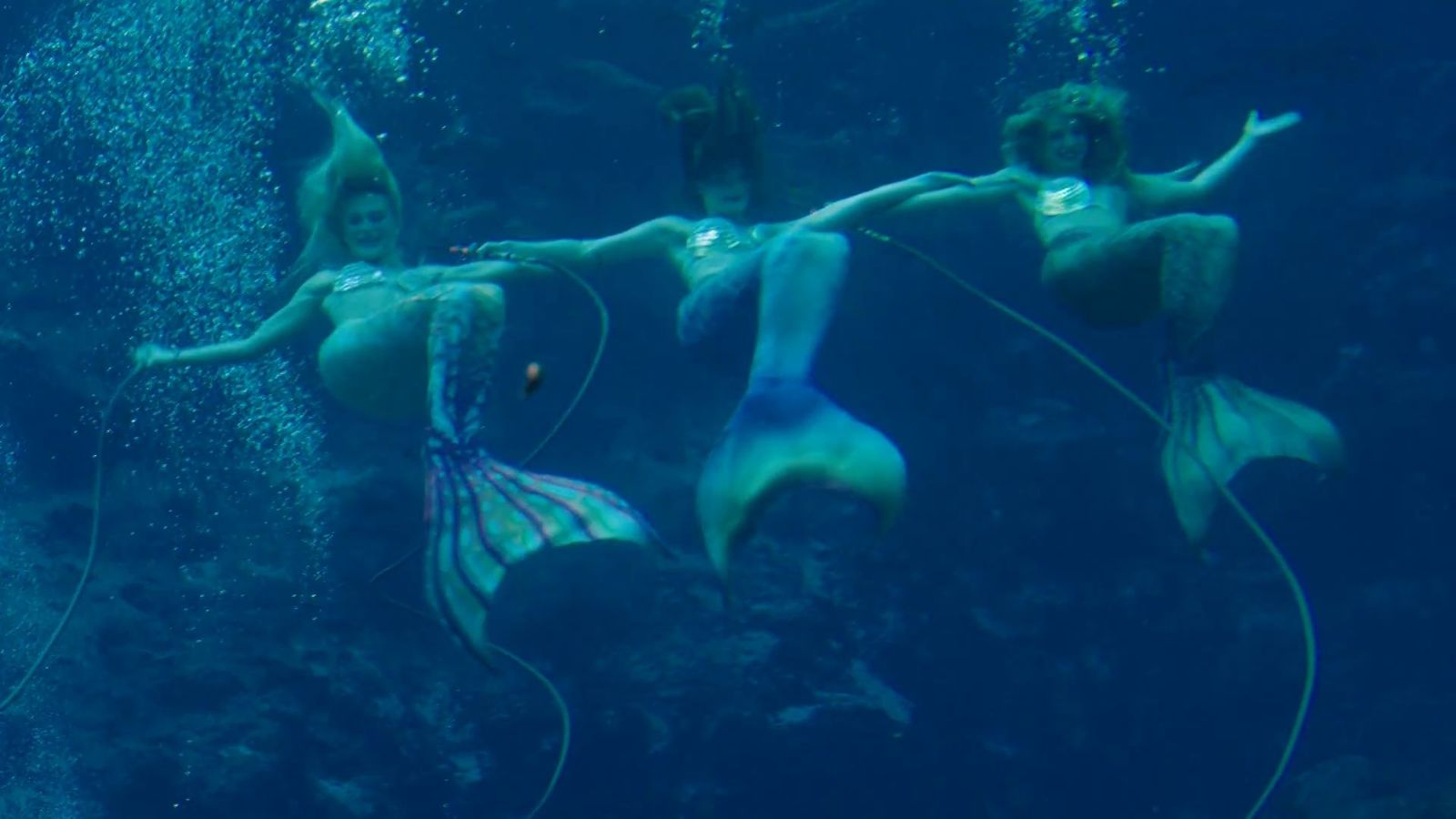 Las sirenas cobran vida en Tampa