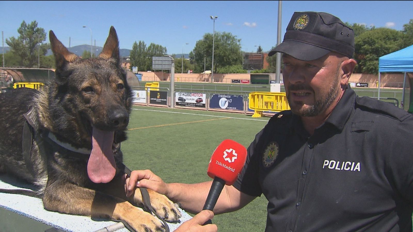 Villalba celebra el 73 aniversario de su policía local con un exhibición canina
