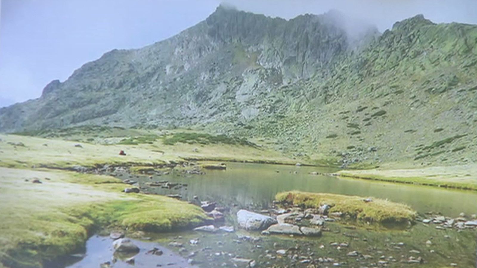 Lo que podrás hacer este agosto en el Parque Nacional de Guadarrama