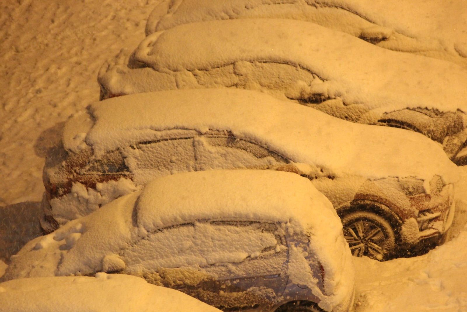 Coches cobuiertos de nieve