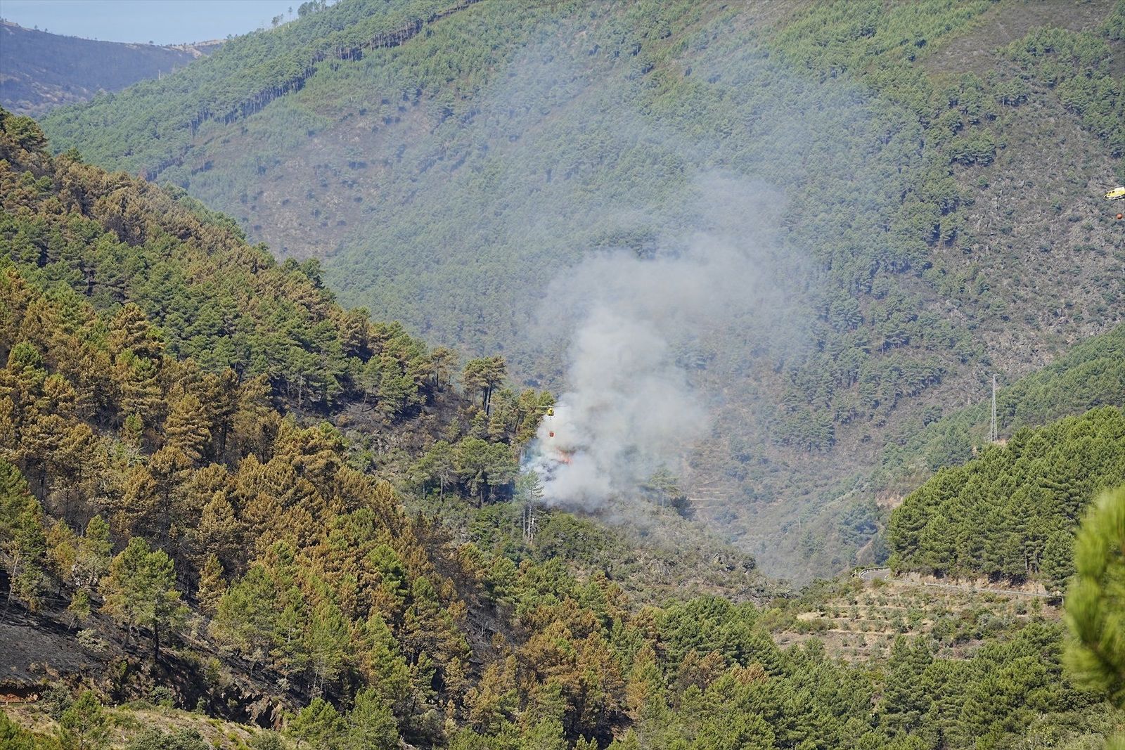 El incendio de Las Hurdes (Cáceres) evoluciona "favorablemente" y los vecinos pueden volver a sus casas