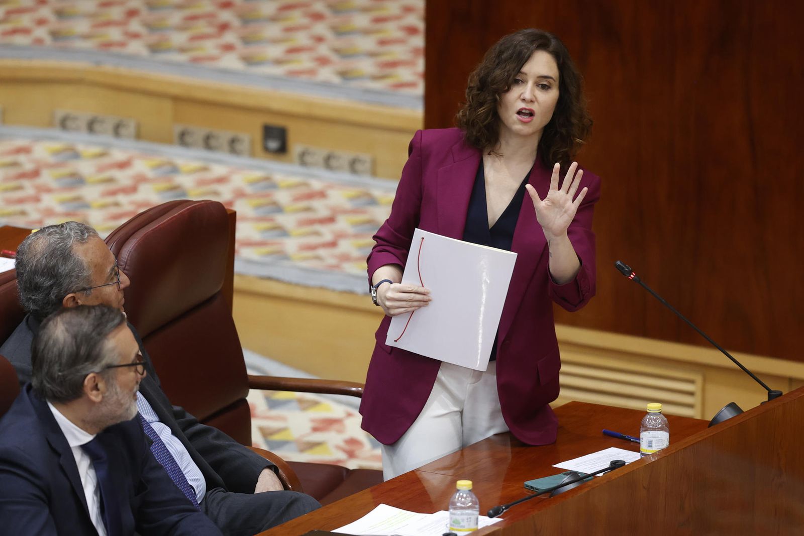 Isabel Díaz Ayuso