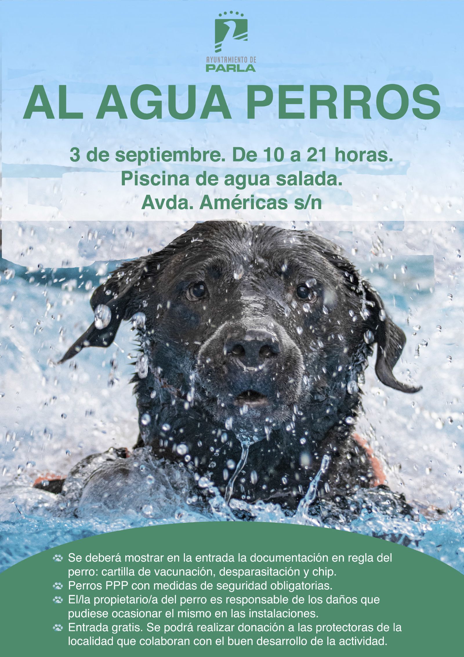 'Perros al Agua' en Parla