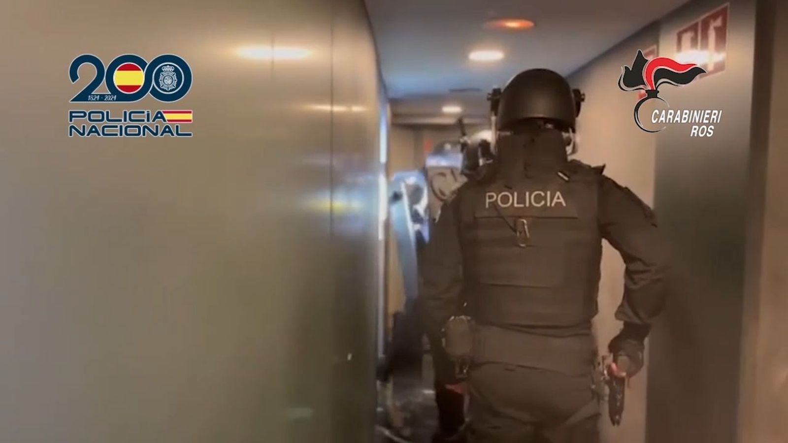 Detenidos mafia