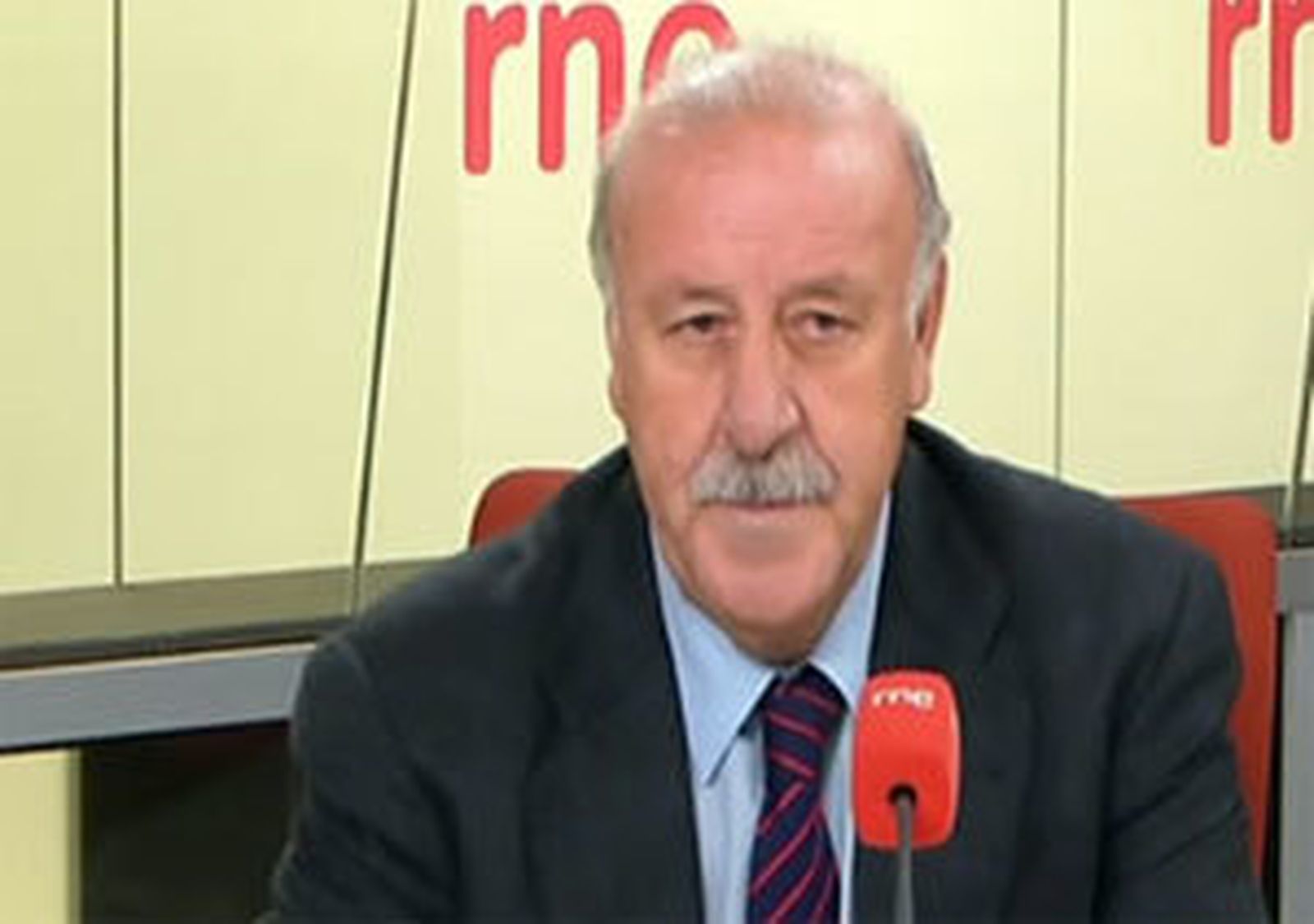 Vicente del Bosque