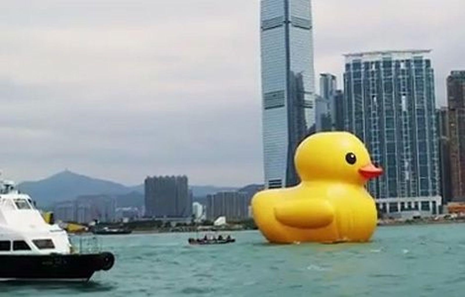 ¡Pato gigante al agua!