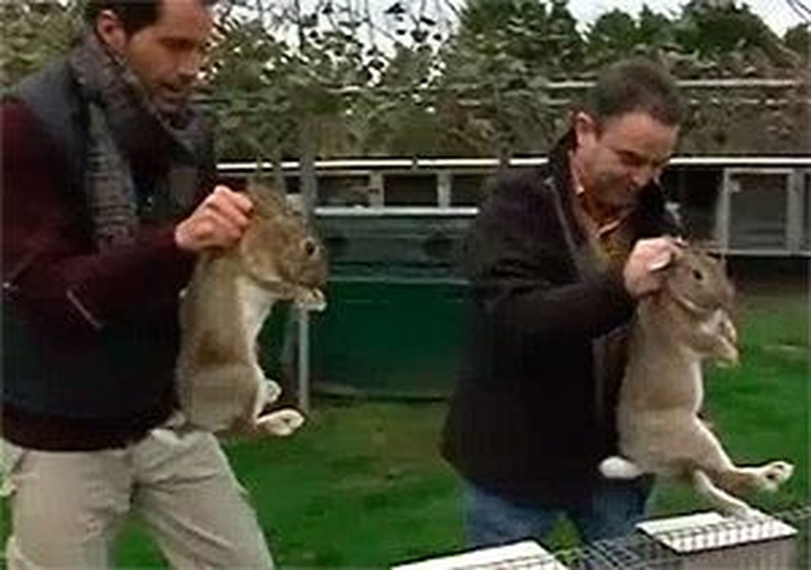 Animalandia: Capítulo 2