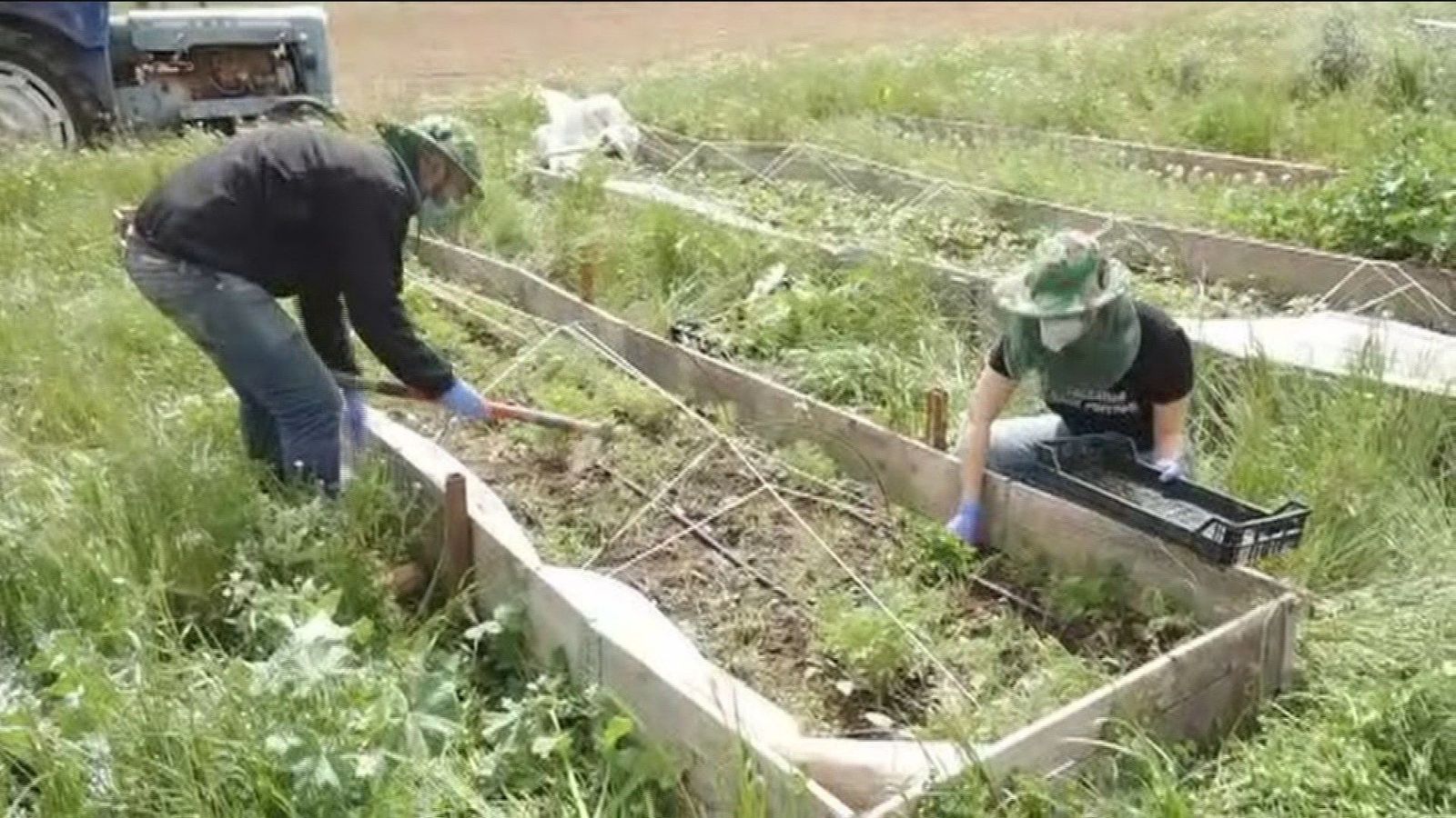Se multiplican los pedidos de productos ecológicos a domicilio