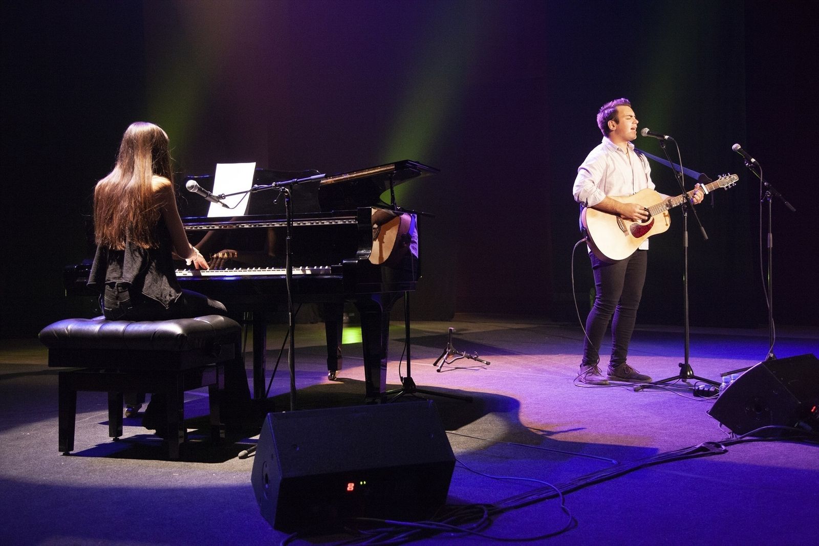 Las Rozas Acústica