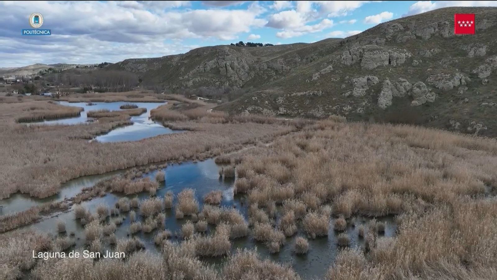 Humedales de Madrid, delicadas reservas de biodiversidad