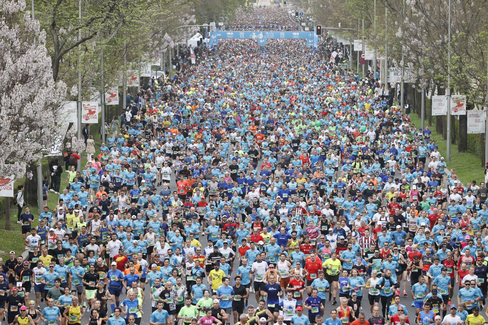 Las mejores imágenes de la Media Maratón de Madrid