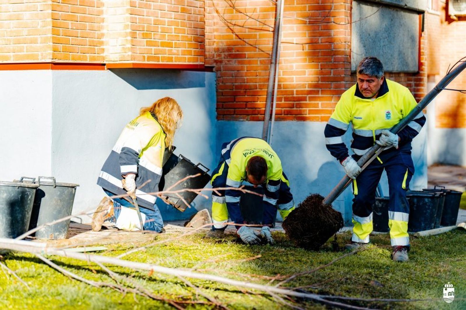 Operarios municipales plantan árboles en San Fernando de Henares