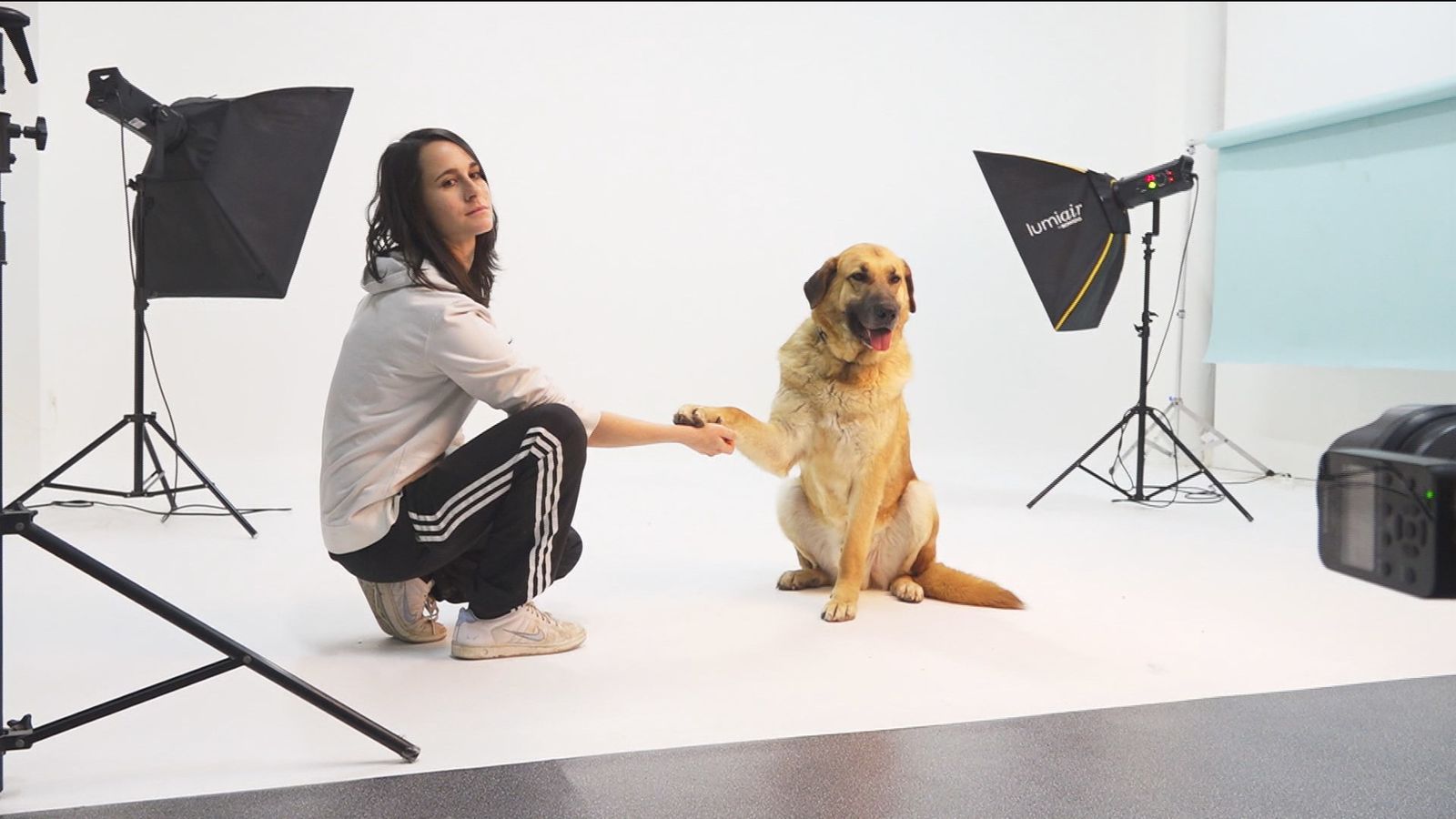 Sesión de fotos con perros en estudio